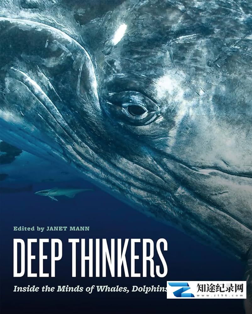 聪明的海豚 / Dolphins-Deep Thinkers