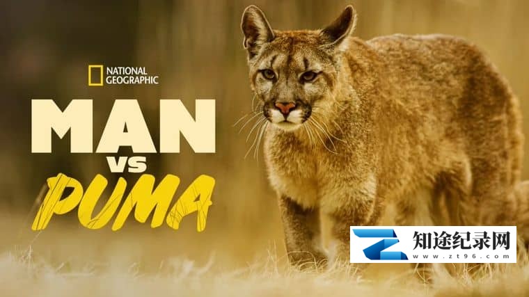 国家地理《对战美洲狮 Man vs. Puma 2018》英语中英双字 1080P/MP4/1.87G 美洲狮-知途纪录片网盘资源下载