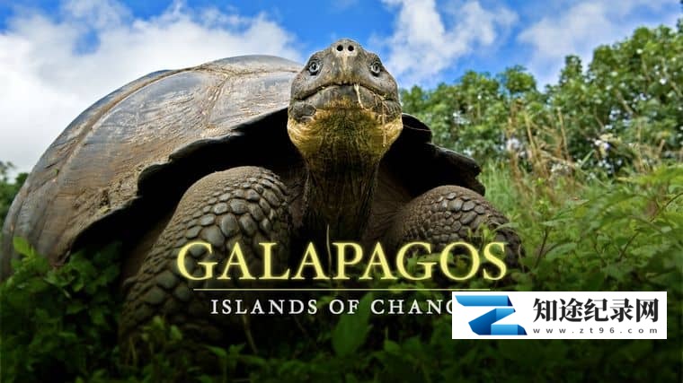 BBC纪录片《自然世界:加拉帕戈斯群岛的变化 Natural World: Galapagos - Islands Of Change 2015》英语中英双字 1080P/MP4/932M 加拉帕戈斯群岛-知途纪录片网盘资源下载