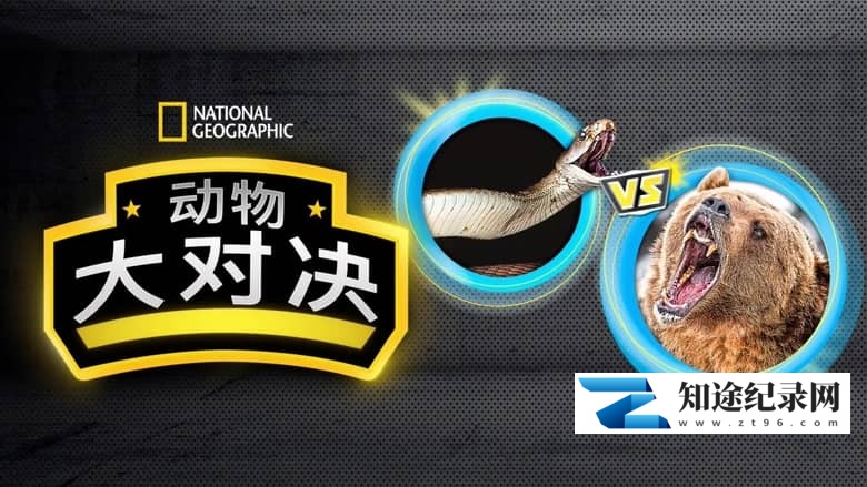 国家地理《动物大对决 Animal Showdown 2018》全6集 多国语言多国字幕 无水印纯净版 720P/MKV/1.13G 动物短片-知途纪录片网盘资源下载