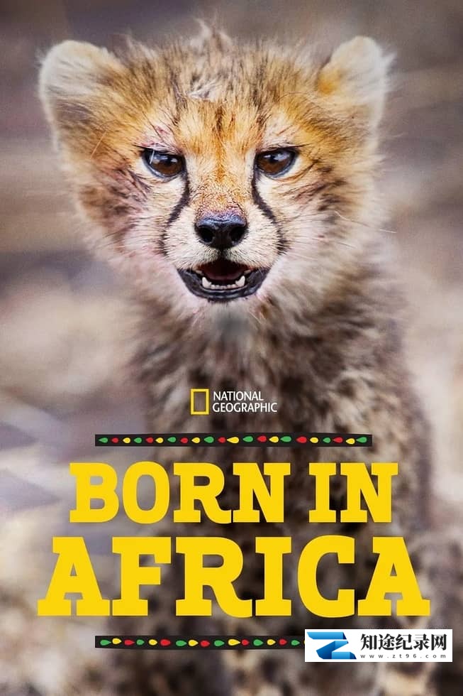 国家地理《非洲原野育成记 Born In Africa 2018》全3集 多国语言多国字幕 无水印纯净版 720P/MKV/7.59G 动物幼崽育成-知途纪录片网盘资源下载