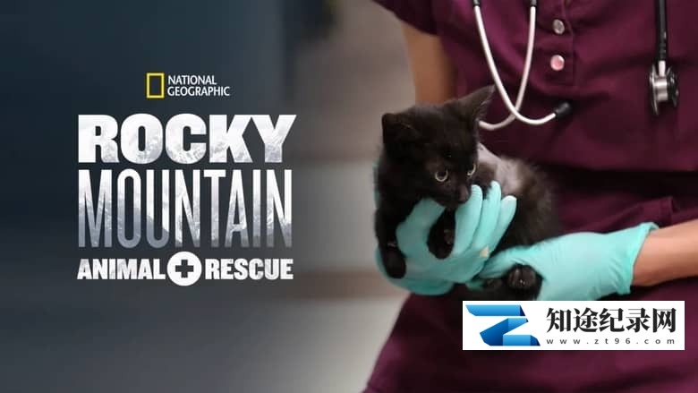 国家地理《落矶山动物救援行动 Rocky Mountain Animal Rescue 2018》全6集 多国语言多国字幕 无水印纯净版 720P/MKV/11G 动物救援-知途纪录片网盘资源下载