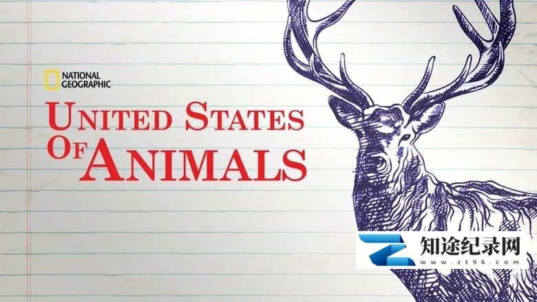 国家地理《美国动物百科 United States of Animals 2016》全12集 多国语言多国字幕 无水印纯净版 720P/MKV/10.8G 美国野生动物-知途纪录片网盘资源下载