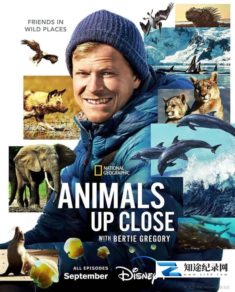 国家地理《贝尔蒂·格雷戈里:与动物零距离 Animals Up Close with Bertie Gregory 2023》第一季全6集 英语中英双字 4K超清/2160P/MKV/33.8G 动物零距离-知途纪录片网盘资源下载