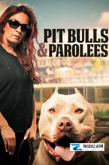 狗儿救援迎新生 第11季 / Pit Bulls and Parolees
