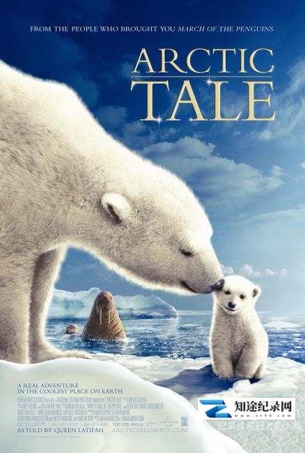 [其他]北极传说 Arctic Tale-知途纪录片网盘资源下载