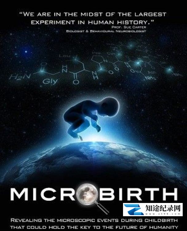 [其他]微分娩 Microbirth-知途纪录片网盘资源下载
