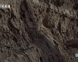 [BTV]草原历史名城呼和浩特：丰州古城-知途纪录片网盘资源下载