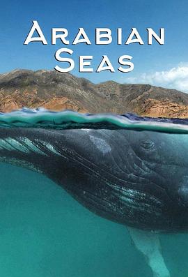 [Smithsonian]阿拉伯海 第一季 Arabian Seas Season 1-知途纪录片网盘资源下载