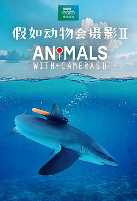 [其他]假如动物会摄影 II Animals with Cameras II-知途纪录片网盘资源下载