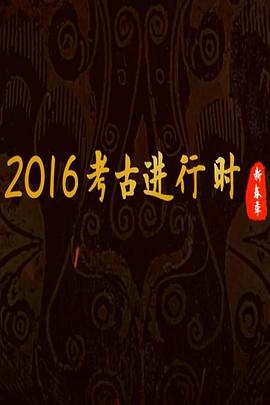 [CCTV]探索发现：2016考古进行时-知途纪录片网盘资源下载