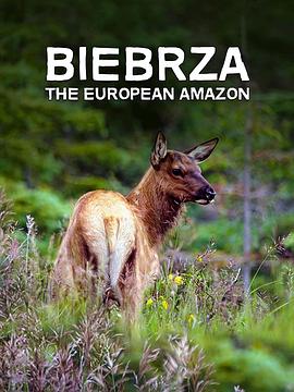 别布扎河:欧洲的亚马孙 / Biebrza: The European Amazon