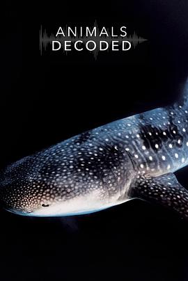 [其他]动物解码 Animals Decoded-知途纪录片网盘资源下载