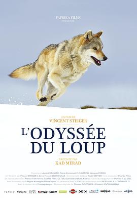[其他]狼之旅 L’Odyssée du Loup-知途纪录片网盘资源下载